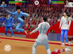 Tag tim Karate melawan Tiger dunia Kung Fu raja screenshot 4