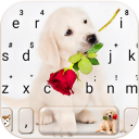 Tema Keyboard Puppy Love Rose Icon