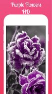 Purple flowers Live Wallpaper 2019 Purple flowers screenshot 3