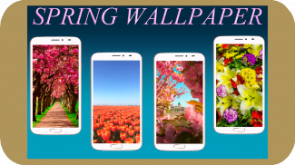Spring Wallpaper HD screenshot 4