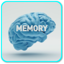 Memory Techniques