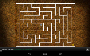 Maze screenshot 2