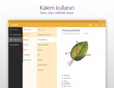 Microsoft OneNote: Save Notes screenshot 8