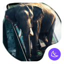 Elephant APUS Launcher theme Icon