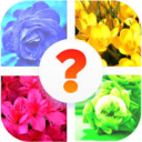 Flower_App_By_Dhanshree
