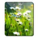 Free Summer New HD LWP Icon