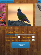 Birds Jigsaw Puzzles Game screenshot 12