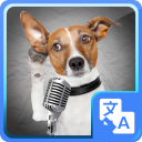 Dog translator simulator Icon