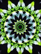 Camera Kaleidoscope screenshot 1