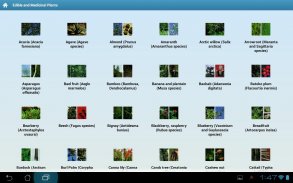 Edible and Medicinal Plants - Offline Plant Guide screenshot 0