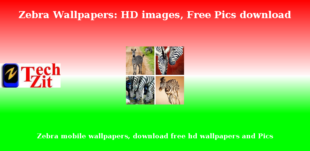 Zebra HD Wallpapers - تنزيل APK للأندرويد | Aptoide