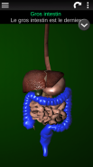 Organes Internes en 3D (Anatomie) screenshot 1
