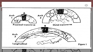 Rheumatology UCT screenshot 6