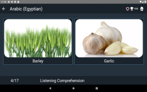 Egyptian Arabic Language Tests screenshot 14