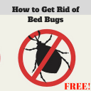 How to Get Rid of Bed Bugs