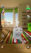 sevimli kedi konuşuyor screenshot 6