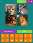 4 immagini una parola screenshot 15