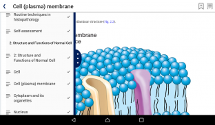 MedEnact screenshot 11