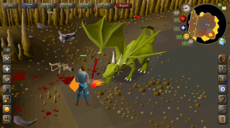 Old School RuneScape screenshot 2