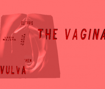 Vagina 3D screenshot 0
