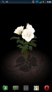 3D Rose Bouquet LWP Free screenshot 5