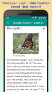InsectID - Identify Insects screenshot 11