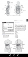 CT Scan Cross Sectional Anatomy for Imaging Pros screenshot 0