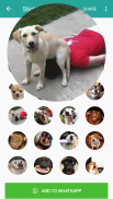 Cute Dog Stickers for WAStickerApps screenshot 0