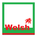 Beginner Welsh Icon