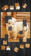 Cute Dogs Jigsaw Puzzle screenshot 5