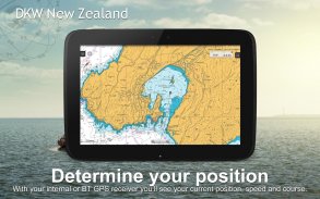 DKW New Zealand screenshot 8