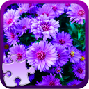 Fiori Puzzle Gioco Icon