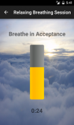 Calming Anxiety Relief screenshot 11