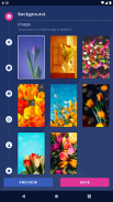 Tulip Spring 4K Wallpapers screenshot 4