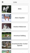 Hunderassen - Foto-Quiz über alle Hunde der Welt screenshot 4