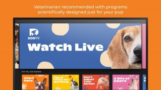 DOGTV: Television for dogs screenshot 13