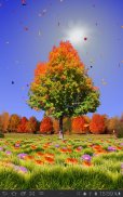 Autumn Trees Free screenshot 0