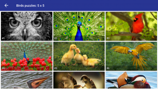 Tile Puzzle: beautiful birds screenshot 1