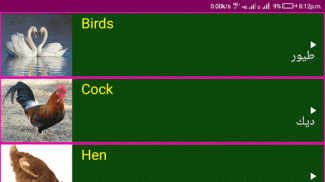 Learn English From Arabic screenshot 14