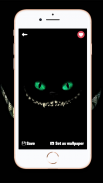Premium Cartoon Cat Wallpapers :  HD - 4k screenshot 0