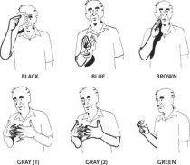 Sign Language for Beginners screenshot 1