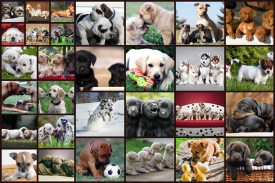 Puzzlespiel mit Hunde Für Kinder & Erwachsene 🐶 screenshot 0