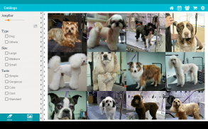 TapGroom Peluquería canina screenshot 2