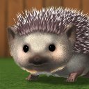 My Hedgehog Icon