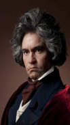 Ludwig van Beethoven Music screenshot 1