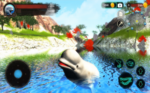 The Beluga Whale screenshot 5