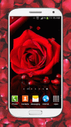 Red Roses Live Wallpaper HD screenshot 1