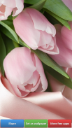 Flowers HD Wallpapers screenshot 5