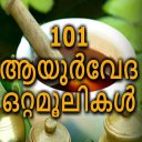 101 Ayurveda Ottamoolikal