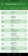 Arabic Baby Names screenshot 4